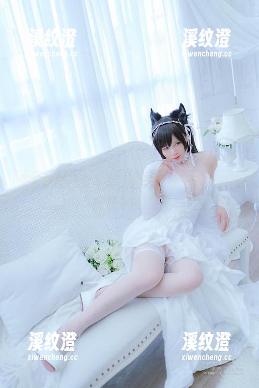 荒井喵喵 荒井喵喵巫女写真,尝试想象一下有只猫在发布魔法。