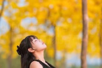 萌芽儿o0的银杏黄风铃合集：图片里竟然藏了个隐形的香蕉！
