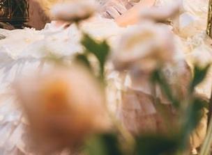 图库里的面饼仙儿：婚纱那么美，她在开会吗？